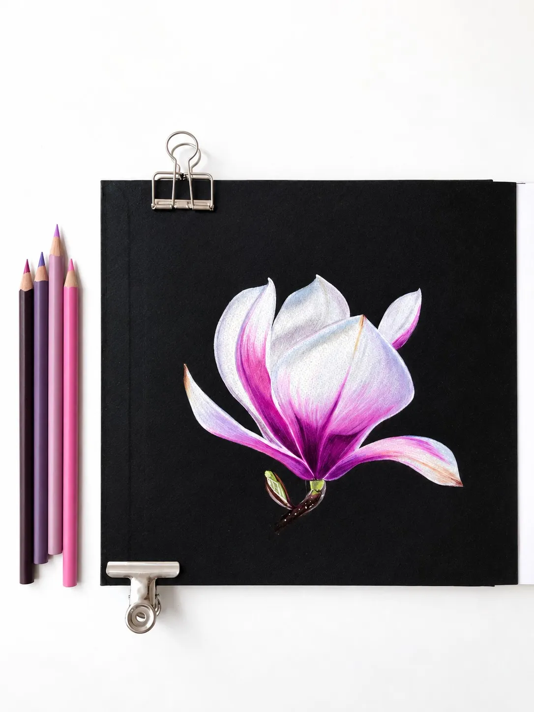 Magnolia